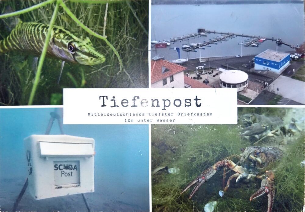 Vorderseite der Tiefenpost-Postkarte mit Unterwasser-Briefkasten, Hecht und Flusskrebs